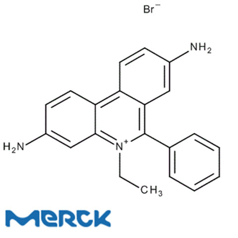 Ethidium Bromide For Biochemistry Merck