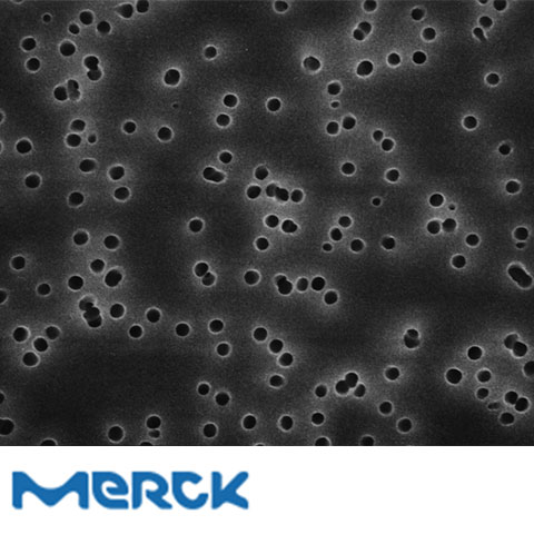 Isopore Membrane Filter 25 mm Polycarbonate Hydrophilic 0.22 µm Brown Plain 100 Merck