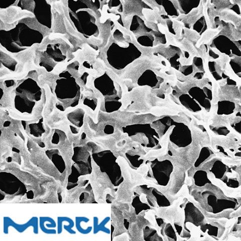 Durapore Membrane Filter PVDF Hydrophilic 0.1 µm 47 mm White Plain 100 Merck