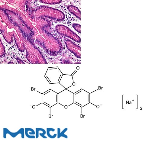 Eosine Y (C.I.4580) For Microscopy Certistain Merck