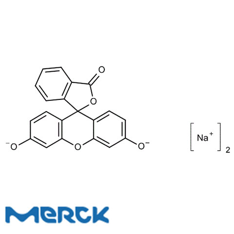 Fluorescein Sodium (C.I. 45350) Extra Pure Merck