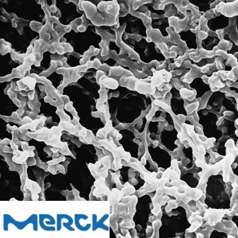 MF-Millipore Membrane Filter Mixed Cellulose Esters Hydrophilic 0.025 µm 47 mm White Plain 100 Merck
