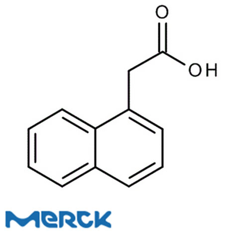 Neo-Clear (Xylene Substitute) For Microscopy Merck